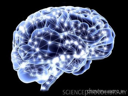 認識神經網絡 從神經元到深度學習 全面清晰易懂